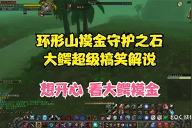 怀旧服环形山摸金守护之石 一个30多金爆率超高视频封面