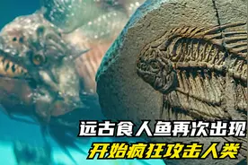 远古食人鱼再次出现，所到之处寸草不生，人类该如何应付，恐怖片视频封面