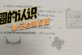 新领程第5单元圆的认识单元检测反面详解视频封面