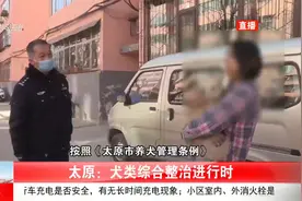 太原-犬类综合整治进行时视频封面