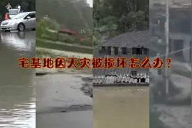 每日普法时间！宅基地因天灾被损坏怎么办？视频封面