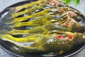 爱吃黄骨鱼一定要收藏，大厨教你独特做法，鲜嫩入味不腥，太香了视频封面