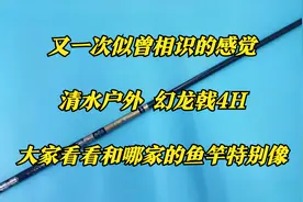 面条竿中的战斗竿—清水户外幻龙戟4H钓竿怎么感觉这么眼熟呢视频封面