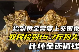 捡到黄金需要上交国家吗？牧民捡到15.7斤狗头金，为何比纯金还贵视频封面