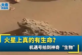 火星上真的有生命？机遇号拍到“蜥蜴”闲庭信步，它到底是什么视频封面