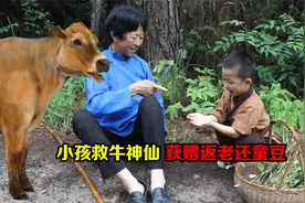 小孩扶起摔倒的老奶奶，不料老奶奶竟是牛神仙，送小孩返老还童豆视频封面