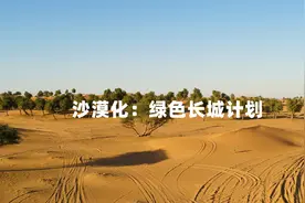 植树造林：绿色长城计划视频封面