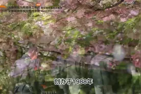 安徽新东方烹饪学校宣传片视频封面