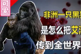 艾滋病的起源，一只黑猩猩如何造成一场全球大流行视频封面