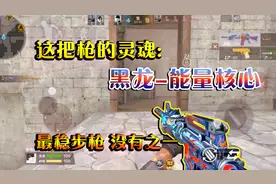岛主解说：最稳步枪没有之一！黑龙-能量核心，是这把枪的灵魂！视频封面