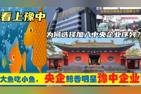 中央上收豫中许昌郑州平顶山漯河郏县6明星企业，从此豫企变央企视频封面