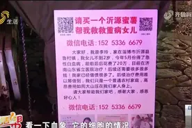好消息！2岁白血病女孩病情稳定，预计本周可出院，父母激动落泪视频封面