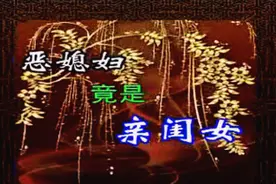 山东民间小调《恶媳妇竟是亲闺女》全集