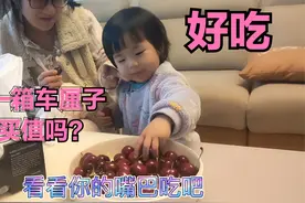 2岁宝宝和妈妈开箱450买的车厘子，宝妈建议大家现在暂时别买视频封面