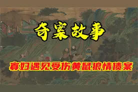 奇案故事之寡妇遇见受伤黄鼠狼情债案视频封面