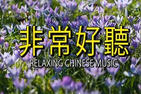 【非常好听】台湾50首最好听的 轻音乐放松解压视频封面