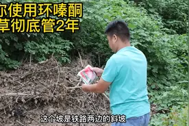 教你使用环嗪酮，除草彻底管2年视频封面