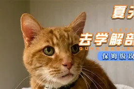 75.卵巢.mp4视频封面