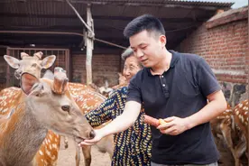 你知道鹿茸血酒有什么禁忌吗？这些人注意了视频封面