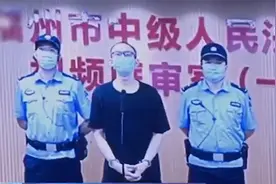 吴谢宇弑母案因不可抗拒原因中止审理，其辩护律师：或因疫情影响视频封面