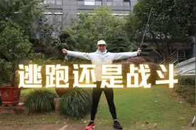战斗还是逃跑？动物应对两模式视频封面