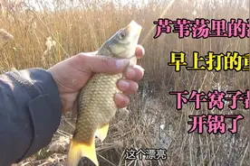冬季早上打重窝下午钓，打窝5个小时后，窝子里到处都是泡视频封面