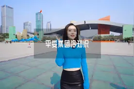 深圳平安不只是卖保险的，马老板也不是最大的股东视频封面