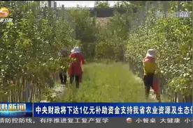 中央财政将下达1亿元补助资金支持甘肃省农业资源及生态保护视频封面