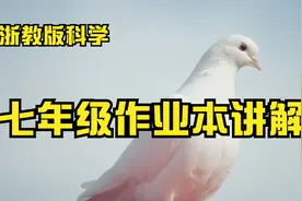 浙教版科学，七年级作业本讲解视频封面