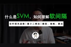 什么是SVM 如何理解软间隔？与感知机横向对比，挖掘机器学习本质视频封面
