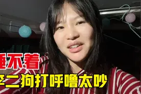 自驾游带狗狗睡在面包车里的第一晚，打呼噜吵的睡不着，哭笑不得视频封面