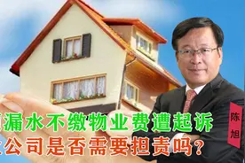 房顶漏水不给修，事主不缴物业费遭起诉，物业公司应承担责任吗？视频封面