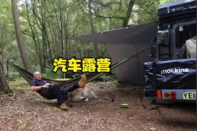 大叔开着改装卫士带着狗子.自驾到森林中露营过夜.烹饪美食视频封面
