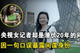 隐藏央视20年财经主持人，为澳大利亚窃取国家机密，如今怎么样了视频封面