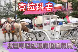 克拉科夫曾作为波兰的首都数个世纪，今天波兰人依然以这座古都视频封面