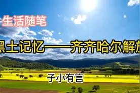 黑土记忆——齐齐哈尔解放视频封面