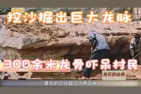 挖沙挖出巨大“龙脉”，300米龙骨吓呆村民，为何专家看了都震惊视频封面