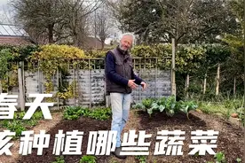 春天到了，想好在自家菜园种什么菜了吗？来跟英国种菜大神学一学视频封面