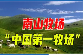 南山牧场：在红色热土上成就的“中国第一牧场”视频封面