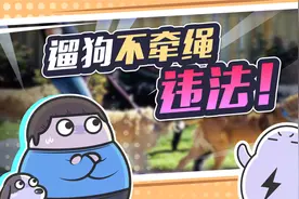 遛狗新规：不牵绳要罚款，甚至要没收狗子！视频封面
