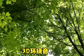 3D环绕音乐 偷偷告诉你带上耳机效果杠杠的视频封面