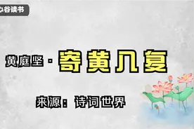 黄庭坚《寄黄几复》江湖夜雨十年灯，人生，要有簪花放歌的乐观视频封面