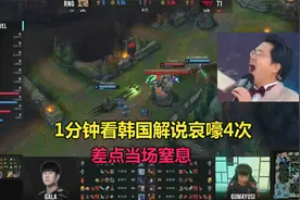 RNG夺冠韩国解说倒大霉，1分钟绝望哀嚎4次，简直把我笑麻了！视频封面