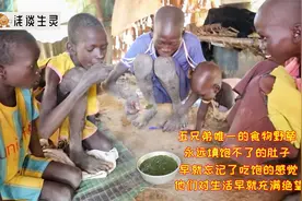 谁来救救难民营的5兄弟，每天靠煮野草充饥，饿得对人生充满绝望视频封面