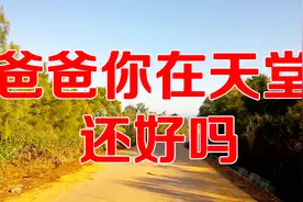 一首《爸爸你在天堂还好吗》唱出了子女心中的苦，听完请不要流泪