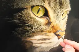 画家笔下的猫，栩栩如生！视频封面