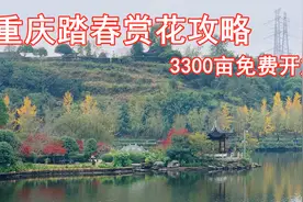 重庆主城最大的公园，开放10年后终于免费了，轨道交通3号线直达视频封面