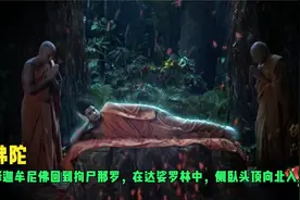 佛陀：释迦牟尼佛回到拘尸那罗，在达娑罗林中，侧卧头顶向北入灭视频封面