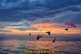 摄影作品赏析，海洋湖泊风景如何拍摄？赏析海洋湖泊类摄影作品视频封面