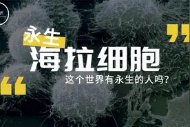 永生人存在吗？海拉细胞做出了多大贡献视频封面